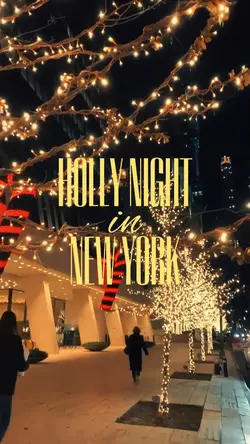 Holly Night In NYC