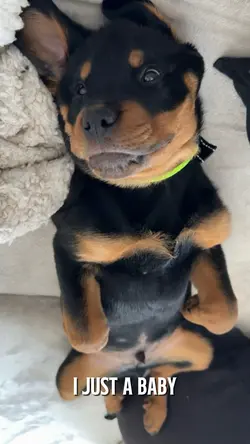 I just a baby