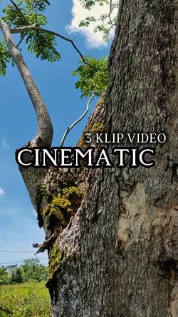 3 KLIP VIDEO 