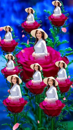 HIỆU ỨNG HOA HỒNG