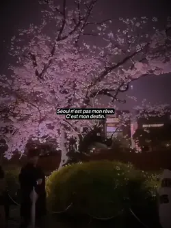Seoul 🇰🇷