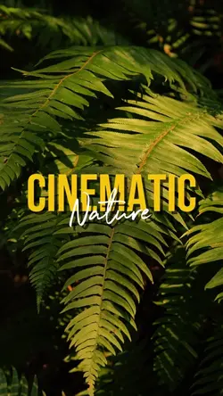 CINEMATIC NATURE