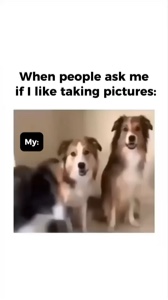 Mi Mascota y Fotos