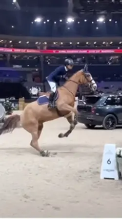 Fallait pas critique