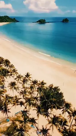 Beach View 