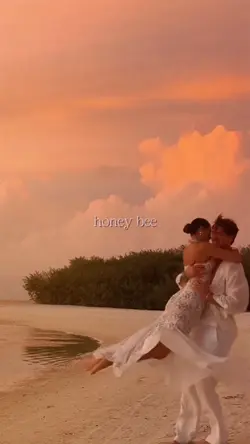 honey bee - couple
