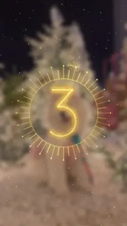 Christmas transition