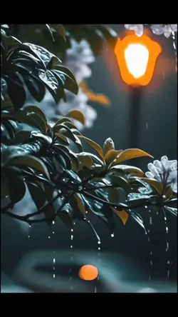 Tiktok viral