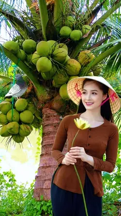 ghép cây dừa 