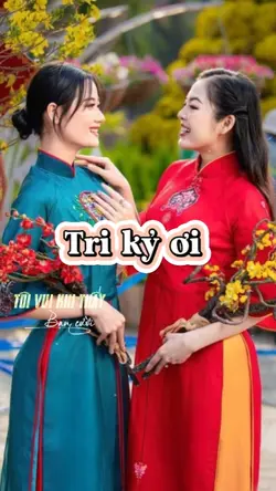 Này bạn tri kỷ ơi 