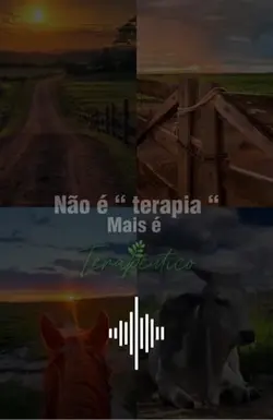 Sítio