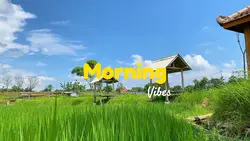 Morning Vibes