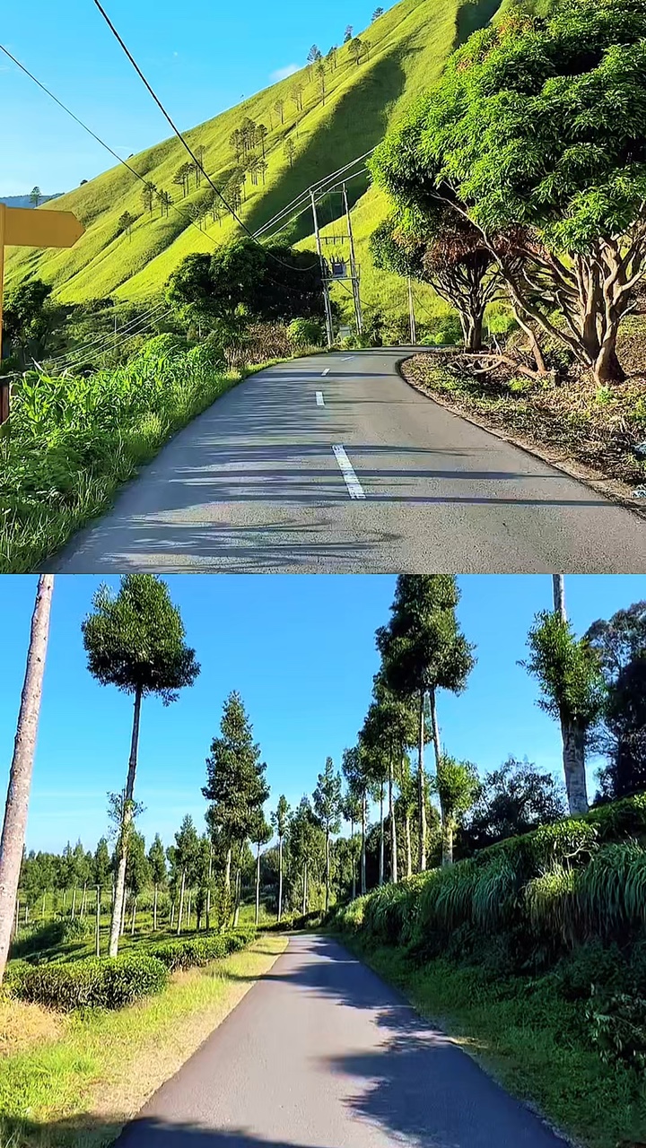 collage 2 video