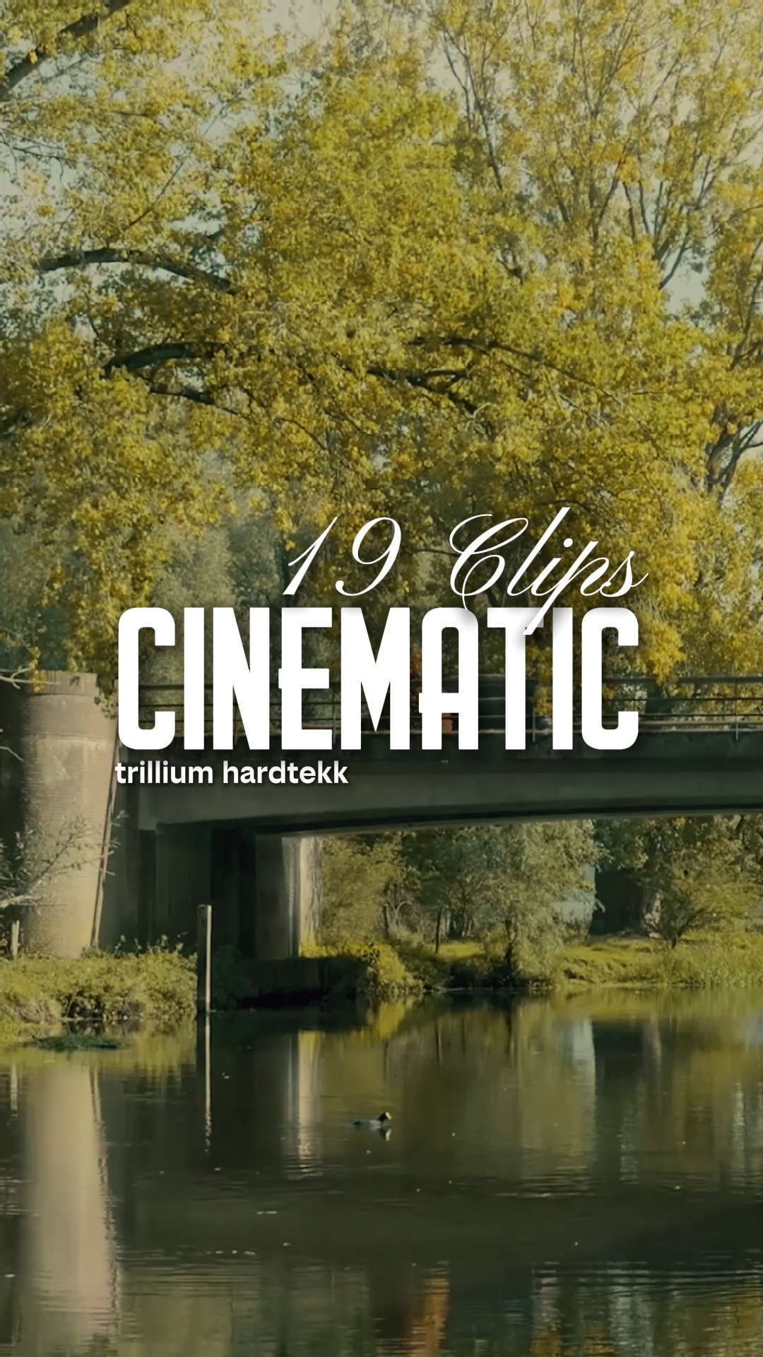 Trillium hardtekk 