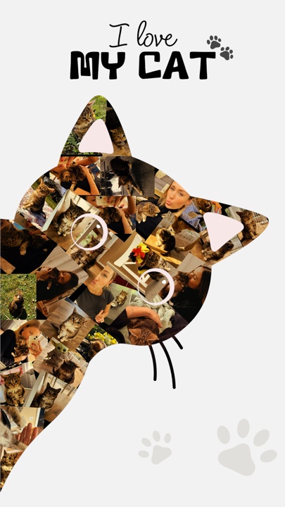 Día nacional del gato