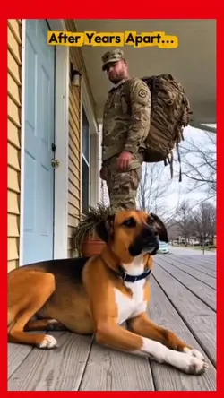 tiktok viral