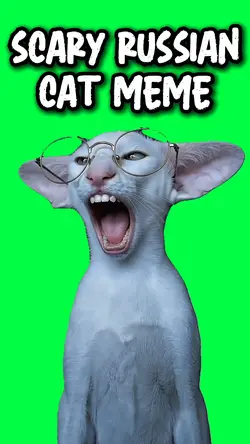 SCARY RUSSIAN CAT