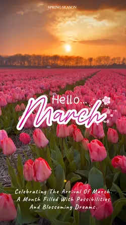 Hello March
