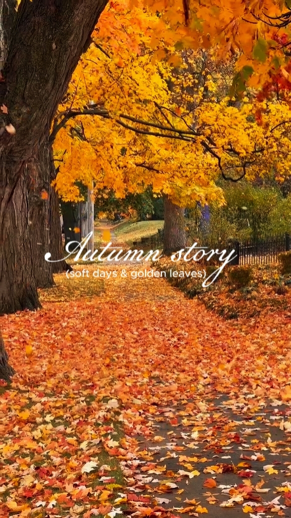 Autumn story 