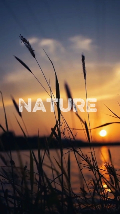 nature 6 clip