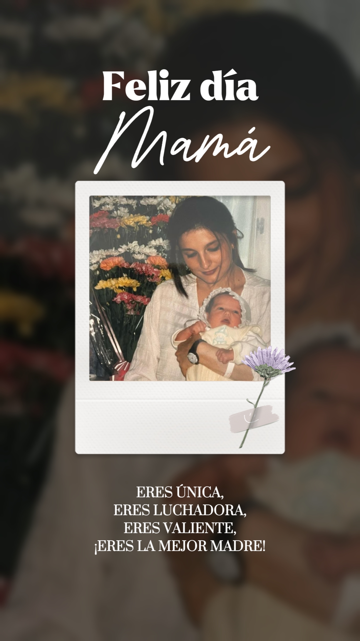 Feliz día mamá