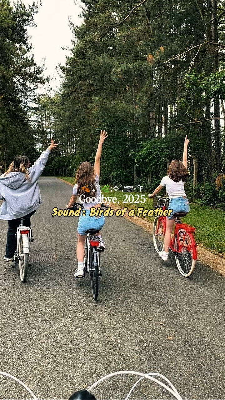 Güle güle, 2025