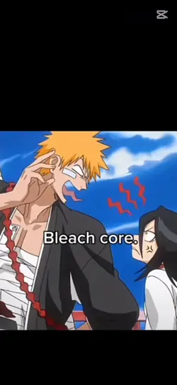 Bleach Core