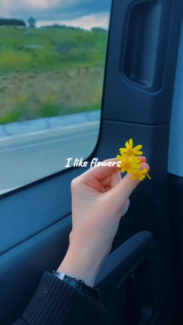Eu gosto de flores