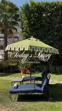 Daily vlog