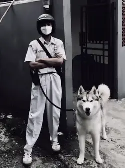 1 Poto bawa husky