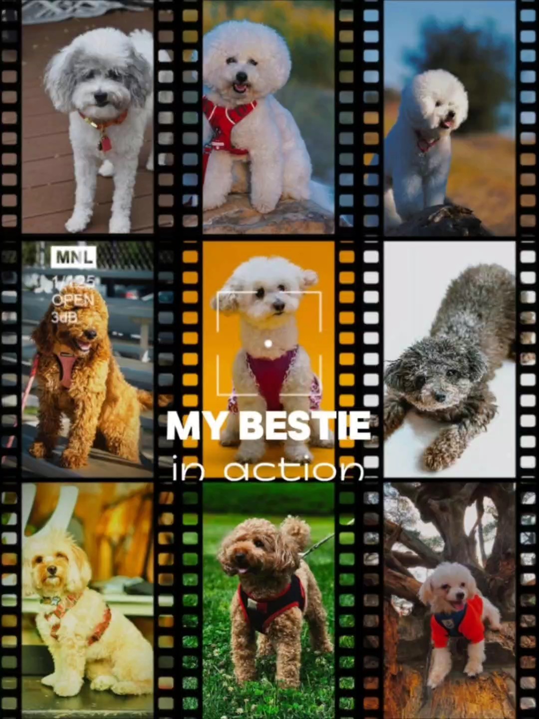 Meu BESTie em ação 