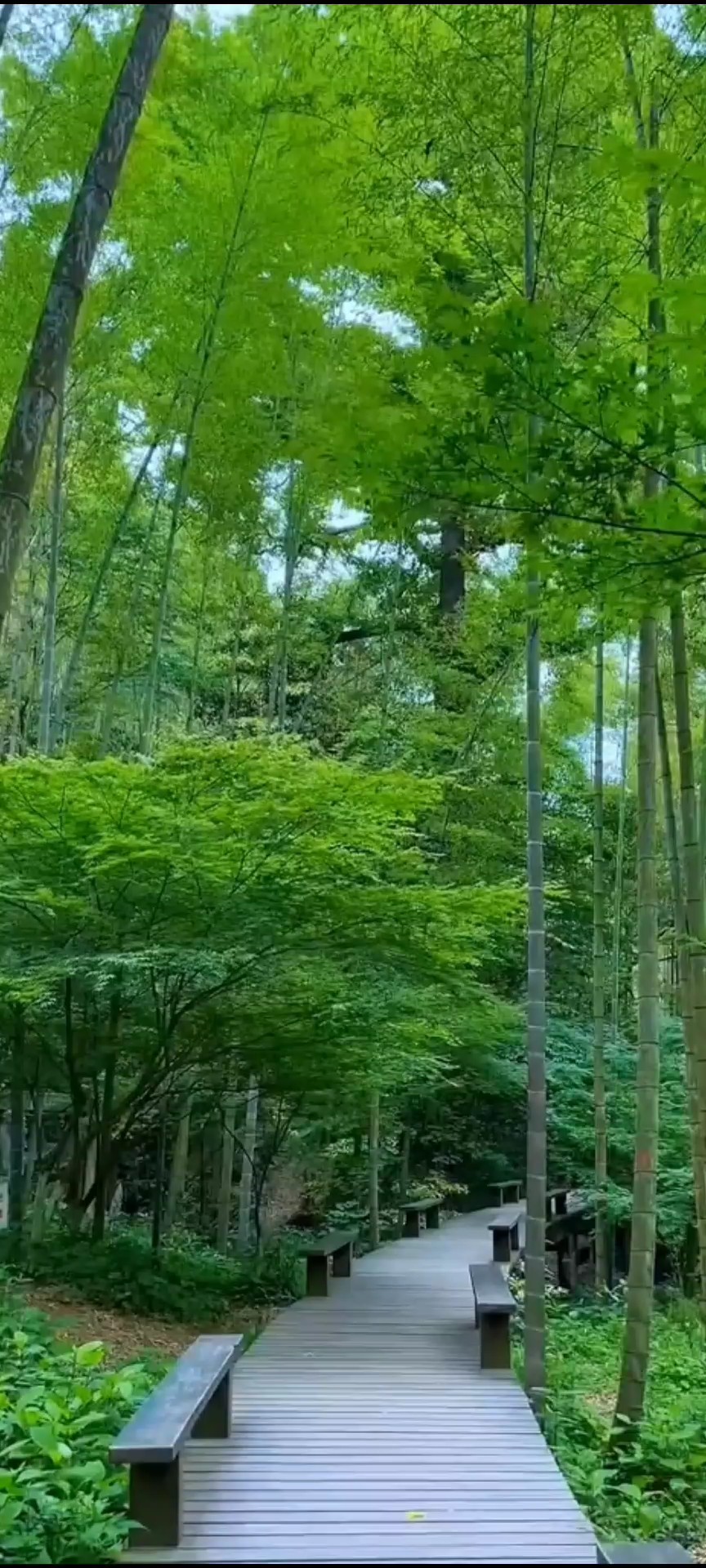 beautiful view 