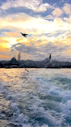 Trend şablon
