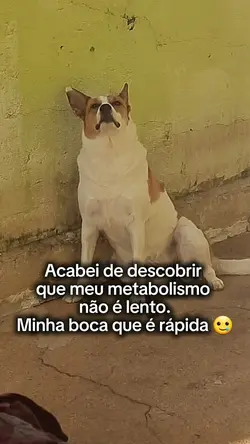 Meu metabolismo!