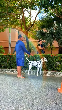 Ação Pet
