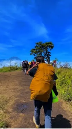 SAILOR SONG AESTETIC