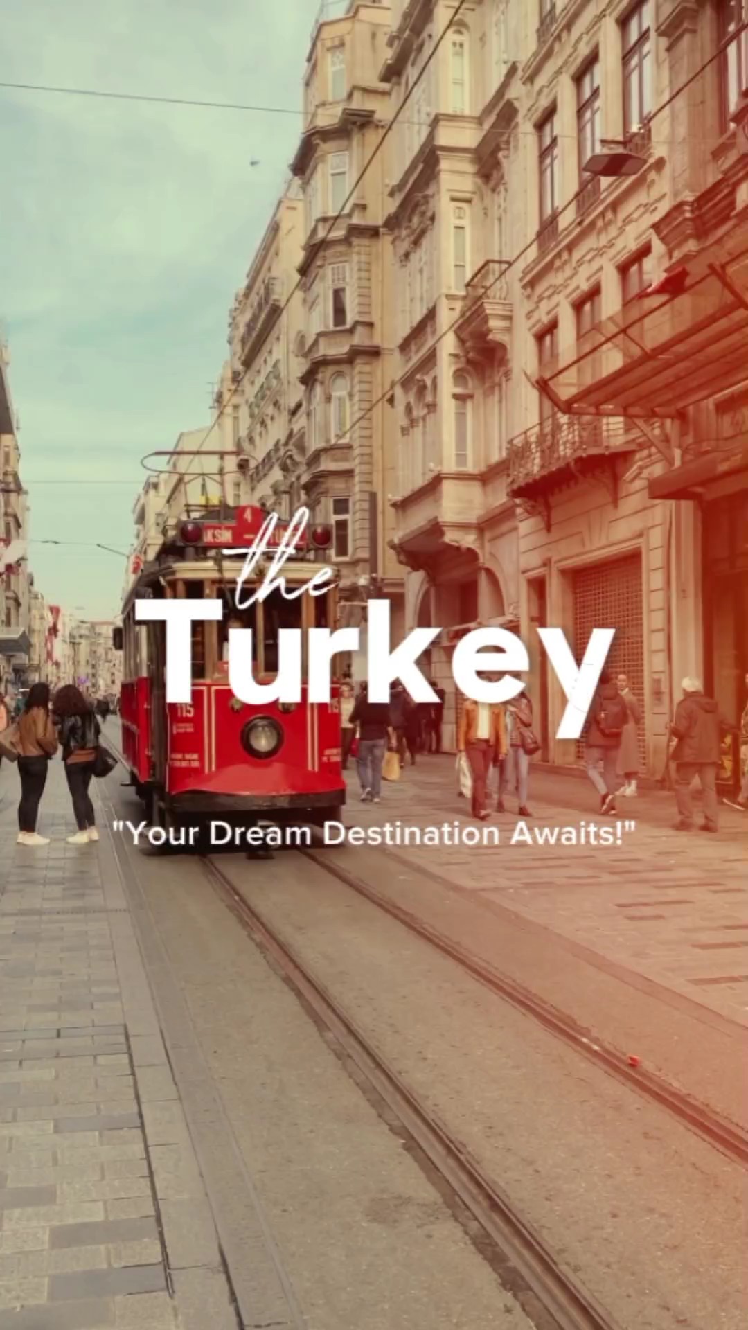 The Turkey Diaries