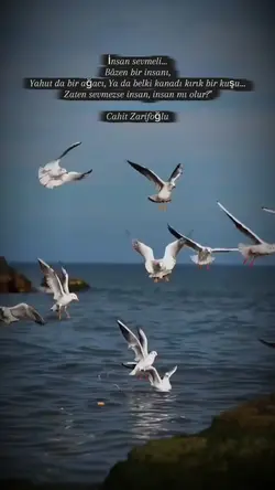 İnsan sevmeli…
