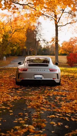 PORSCHE |🐦‍🔥⛓️‍💥