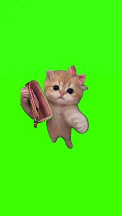cat and wallet 