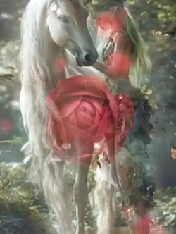 Enchanted