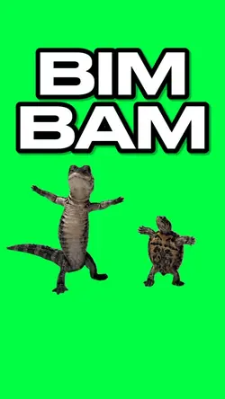 BIM BAM ANIMAL DANCE