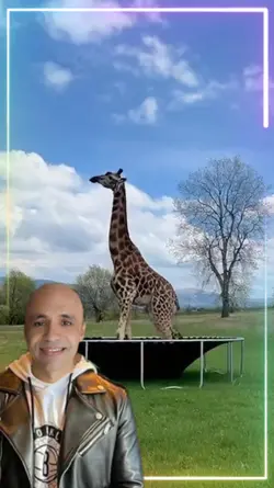 Jumping Giraffe