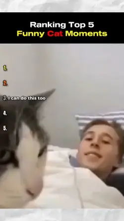 cat moments