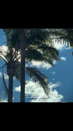 Jhol ( tu mera pyaar