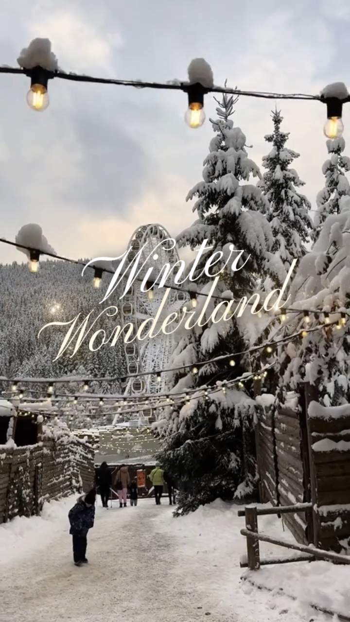 Winter Wonderland