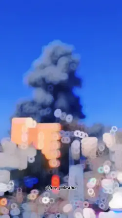 free Palestine 