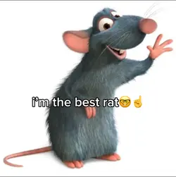 rat