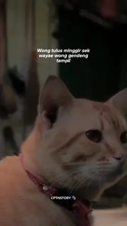 Wong tulus minger sk