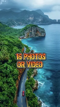 16 photo or picture 